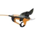 Prunion inkl. Ultra Lithium 250